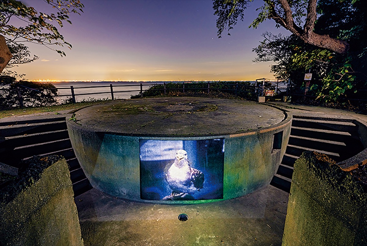 オウ・シャオハン/Life in the Moonlight　 © Naomi Circus