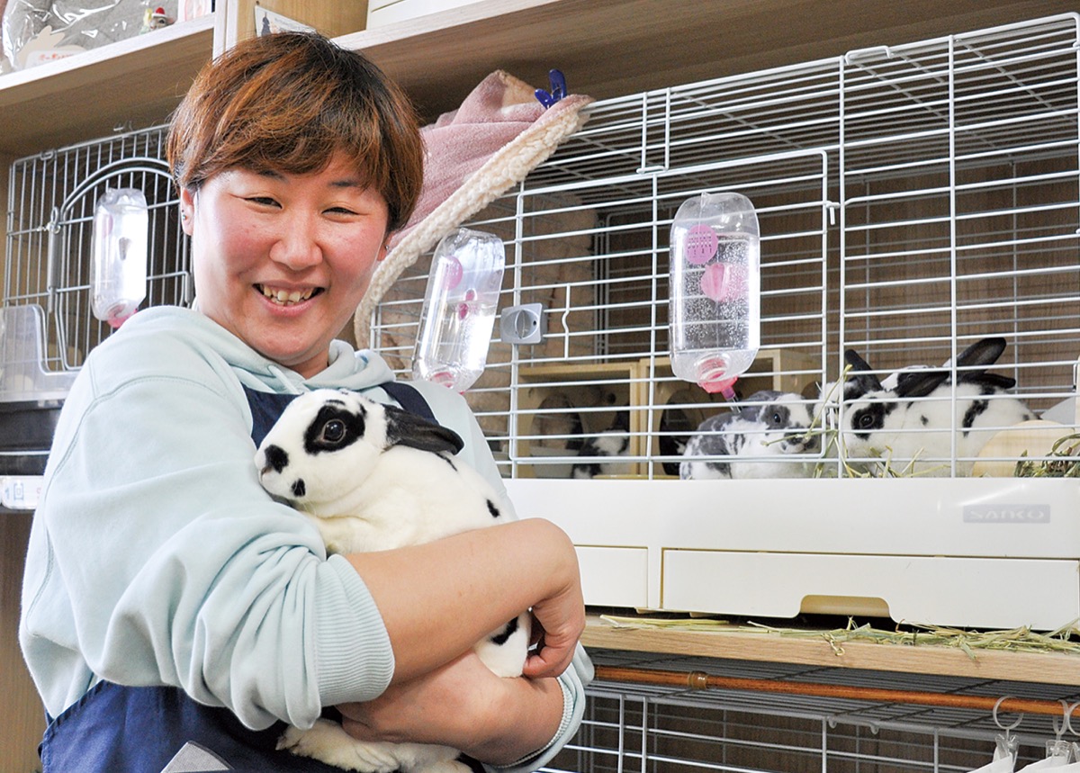 安浦町 ラビットハウスサニー 癒し届けるうさぎ専門店 | 横須賀・三浦