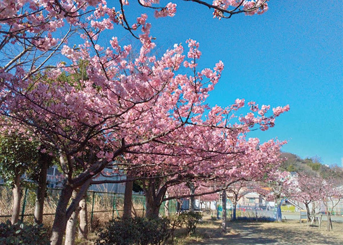 青空とのコントラストも春仕様=2月28日撮影