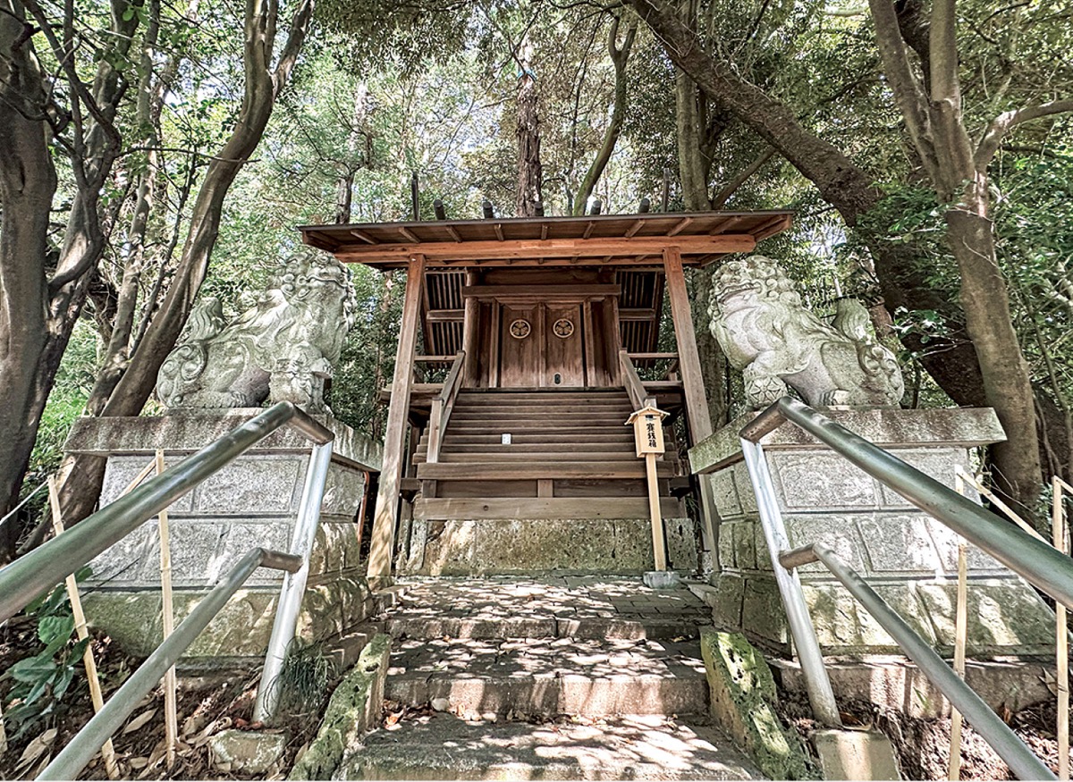 "海の隼"をあるく