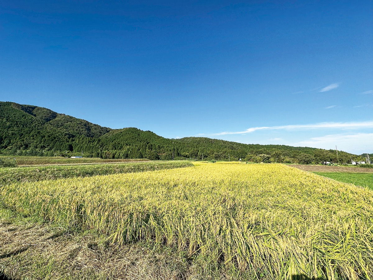 "海の隼"をあるく