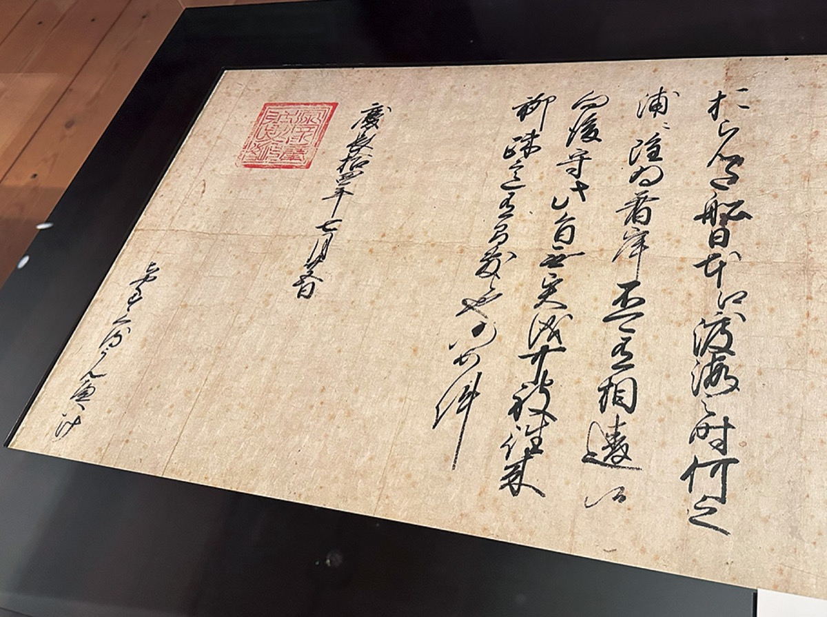 "海の隼"をあるく