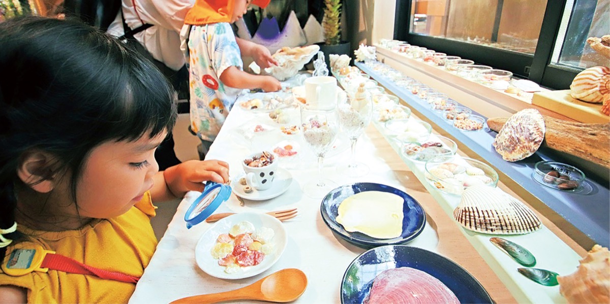 ｢砂浜のロマン｣ご覧あれ