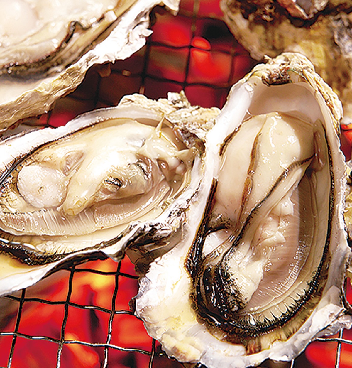 海の公園かき小屋オープン