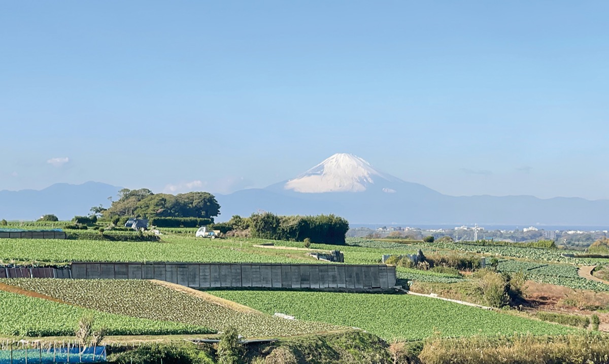 歩いて知る三浦の田園