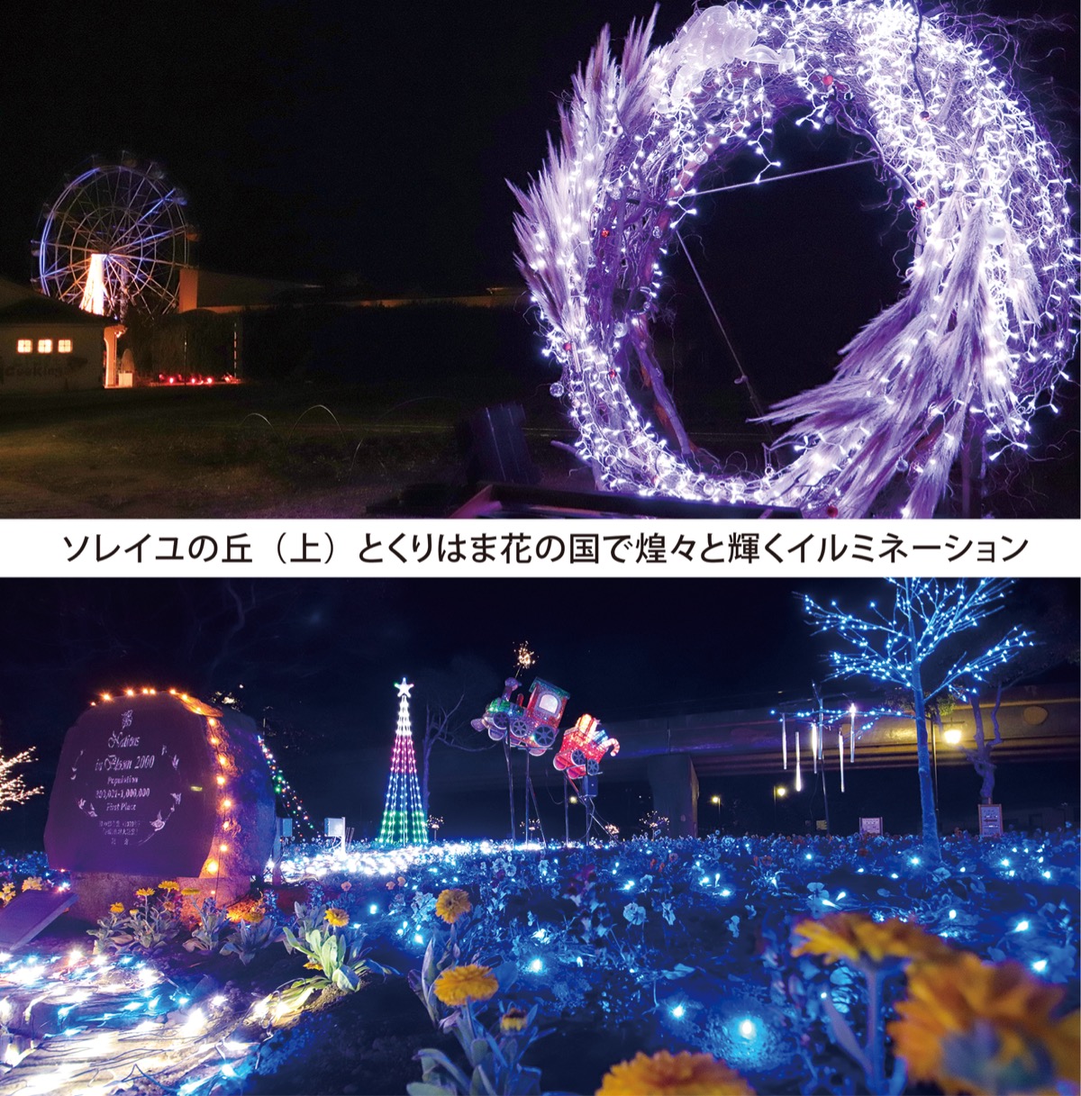 各所に光あふれる