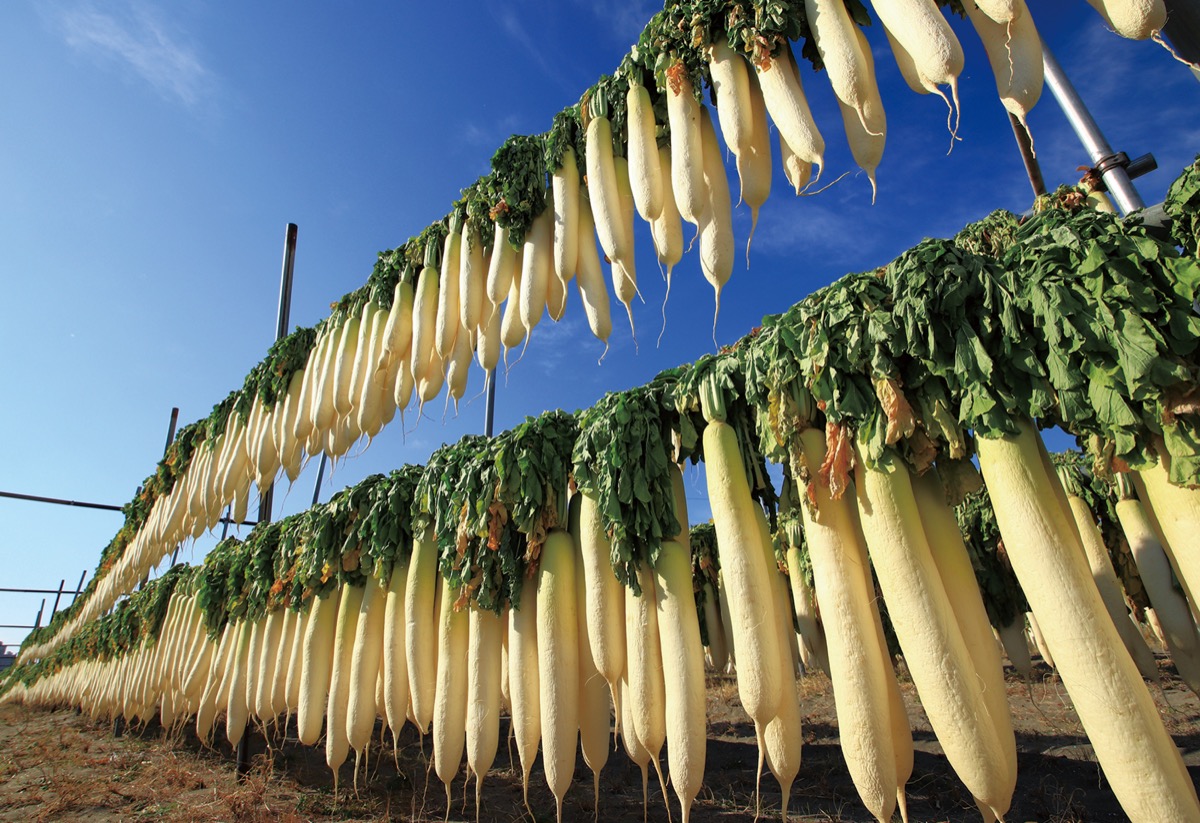 師走の浜に"白き絨毯"