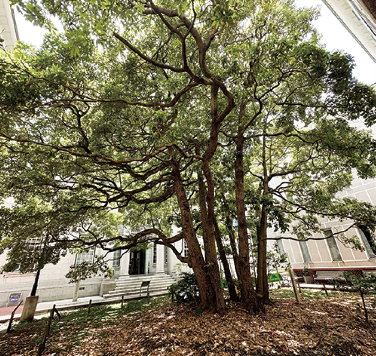 三郎助を追う 〜もうひとりのラストサムライ〜