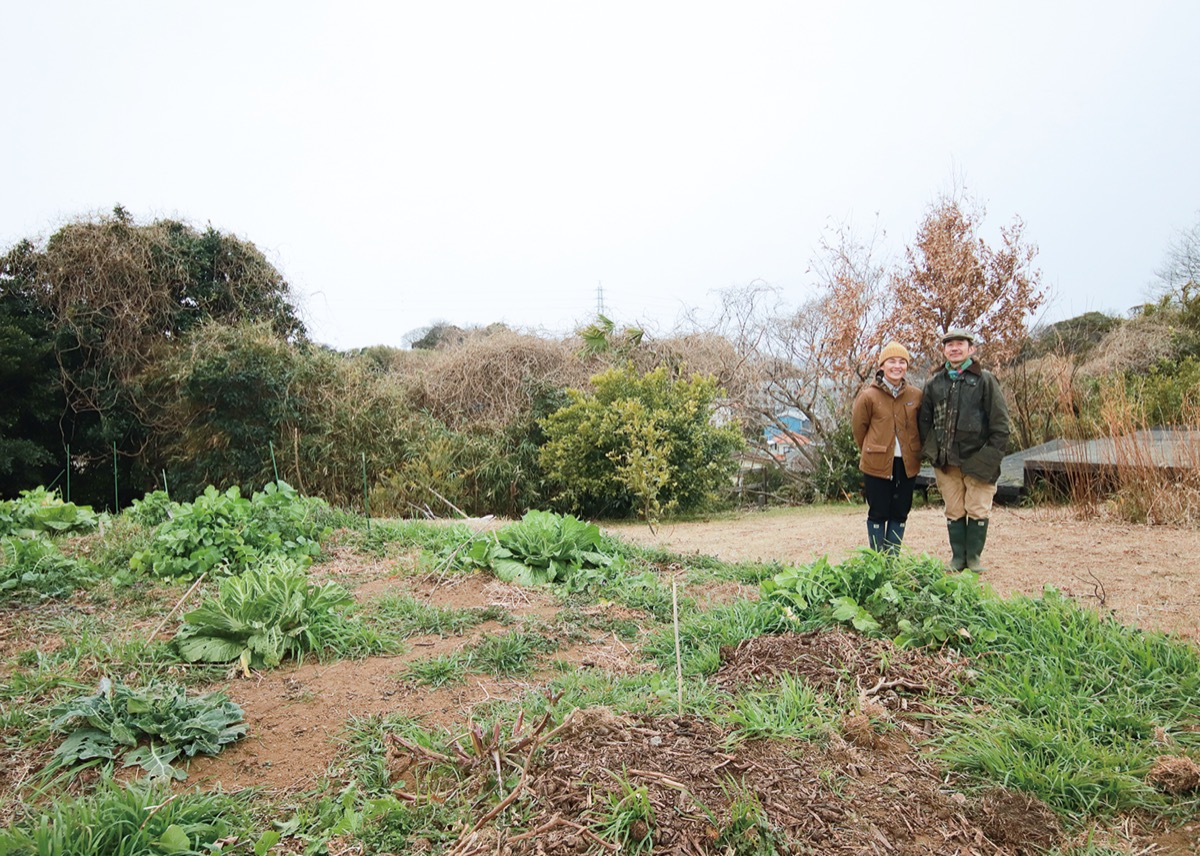 旬の野菜が植えられた農場
