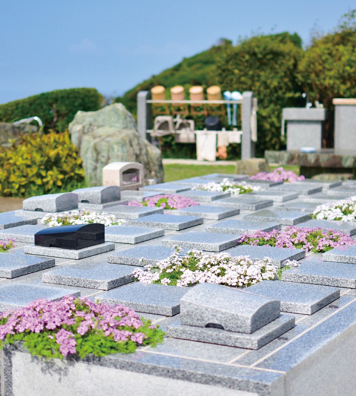 春のお彼岸 特別見学会 (写真2)