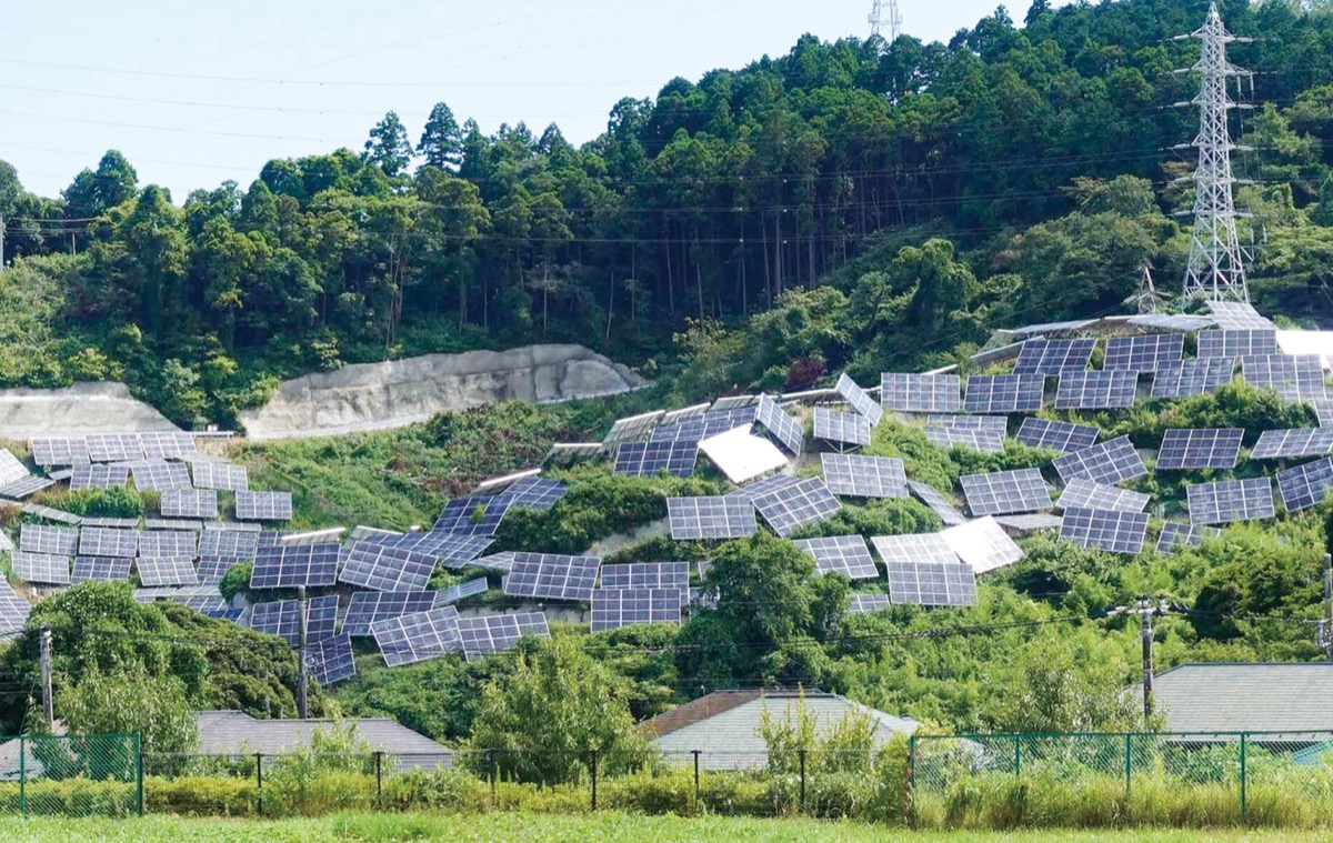 田浦地域の山肌に並ぶソーラーパネル