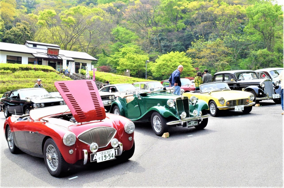 懐かしの名車が園内を彩る（同園提供）