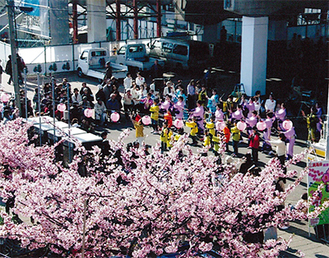 桜を前に昨年も盛大なイベントが（写真提供・三浦童謡の会）