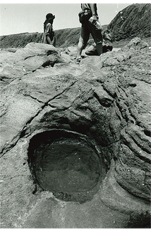 「ポットホール」元禄地震（１７０３年）、大正地震（１９２３年）で隆起する以前は海面下にあり、転石が潮力で穿った穴。