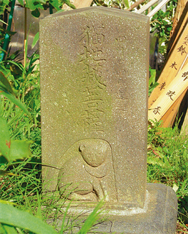 清伝寺内の猫地蔵墓石