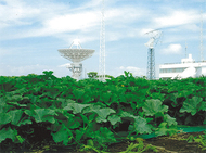 三浦の散歩道〈第133回〉