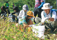 「里地里山」を満喫しよう
