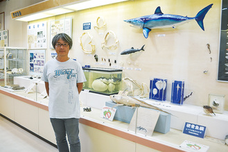 ▲担当する観音崎自然博物館の海洋生物コーナーで
