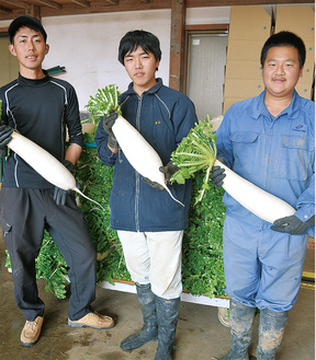 収穫した在来種の三浦大根を手にする（写真右から）池田さん、米山さん、三富農園の三富さん
