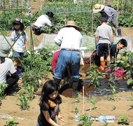 おいしい野菜をつくろう