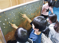 三浦の芸術家を活写