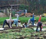 畑で繋がる生産者と消費者