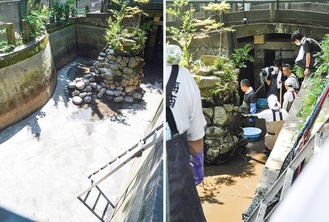 水が抜かれた池（写真左）と、今月７日に行われた撮影の様子（同右）