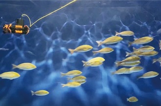 カラフルな魚の群れと“泳ぐ”水中ドローン（写真提供／京浜急行電鉄）