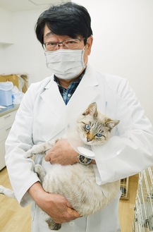 皮膚病を治療している猫を抱える五十嵐院長