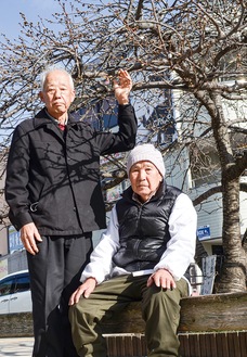 駅前に立つ桜を愛でながら、まつりの歴史を振り返ってもらった西﨑会長（左）と長島副会長＝1月27日撮影
