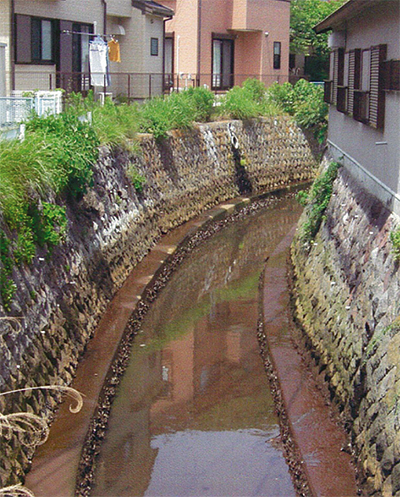 三浦の散歩道  <第18回>