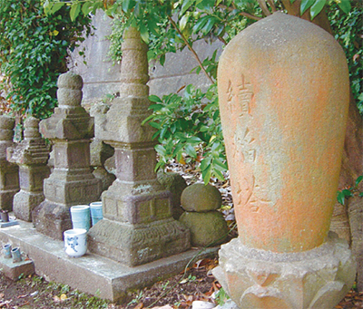 三浦の散歩道  <第19回>