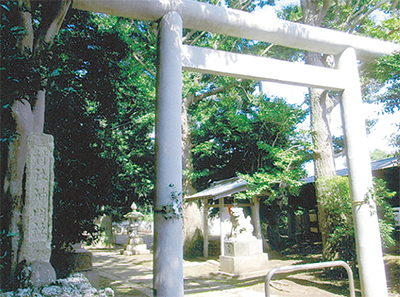 三浦の散歩道  〈第69回〉