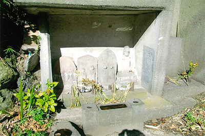 三浦の散歩道  〈第77回〉