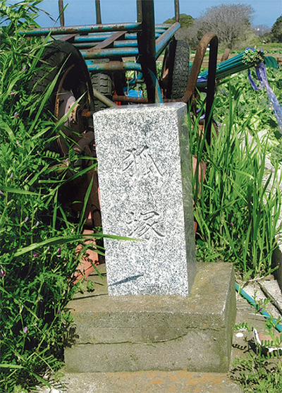 三浦の散歩道  〈第81回〉