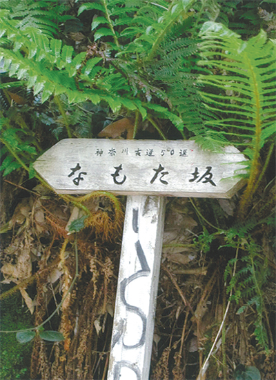 三浦の散歩道  〈第82回〉