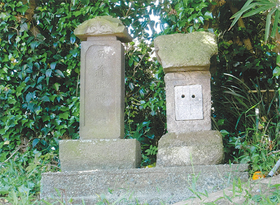 三浦の散歩道  〈第83回〉