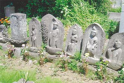 三浦の散歩道  〈第84回〉