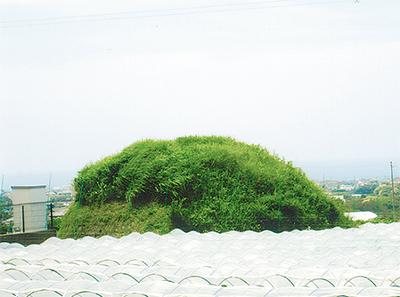 三浦の散歩道  〈第85回〉