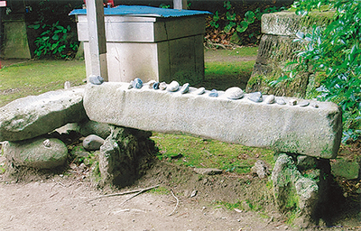 三浦の散歩道  〈第86回〉