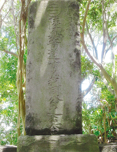 三浦の散歩道  〈第88回〉