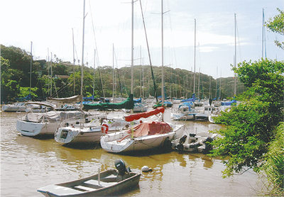 三浦の散歩道  〈第90回〉