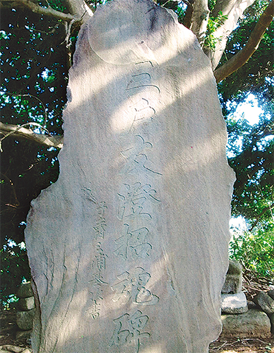 三浦の散歩道  〈第93回〉