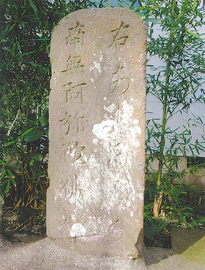 三浦の散歩道  〈第94回〉