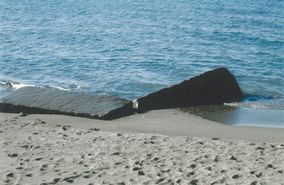 三浦の散歩道  〈第98回〉