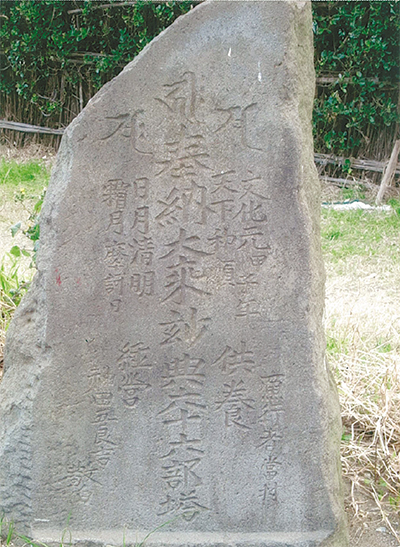 三浦の散歩道  〈第99回〉