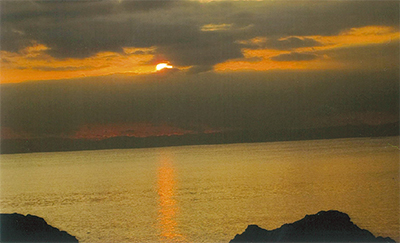 三浦の散歩道  〈第100回〉