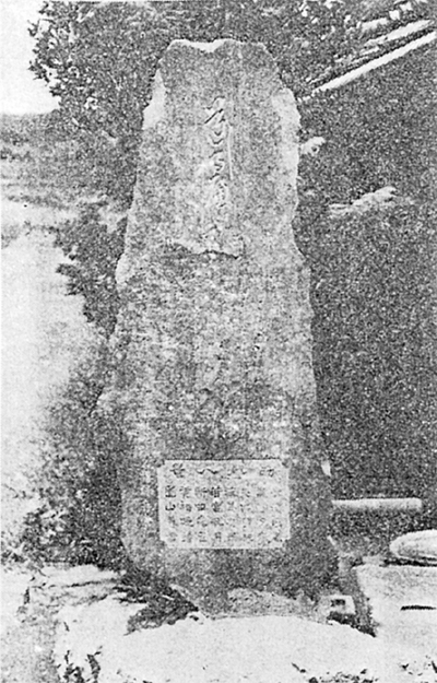 三浦の散歩道  〈第105回〉