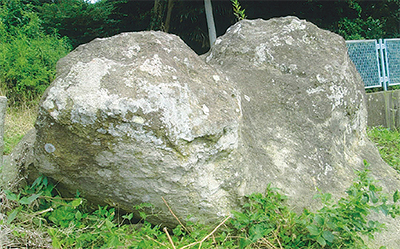 三浦の散歩道  〈第110回〉