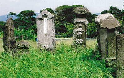 三浦の散歩道  〈第113回〉